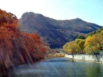 澳门天天开奖免费资料，日本山田气动隔膜泵